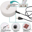 LED Neon Sign Desk Lights & Coconut Tree Night Light